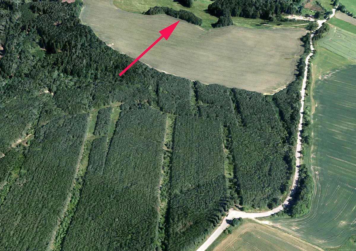 Prodej lesa 815 m²
